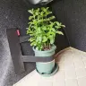 Сетка для хранения в задний багажник автомобиля с ремнями