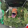 Камуфляжная сетка в рулоне для охоты и декора
