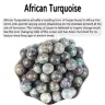African Turquoise / 12mm 29-30pcs