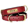 Red Collar / L