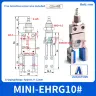 MINI-EHRG10