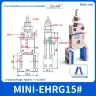MINI-EHRG15