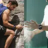 Защитное стекло и чехол для Apple Watch Series 5-11
