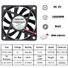 5V Dual Ball