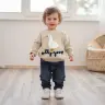 Детский свитер с вышивкой гуся