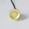 Золотой