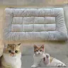 Плюшевая кровать для собак и кошек