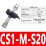 CS1-M-S20
