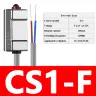 CS1-F